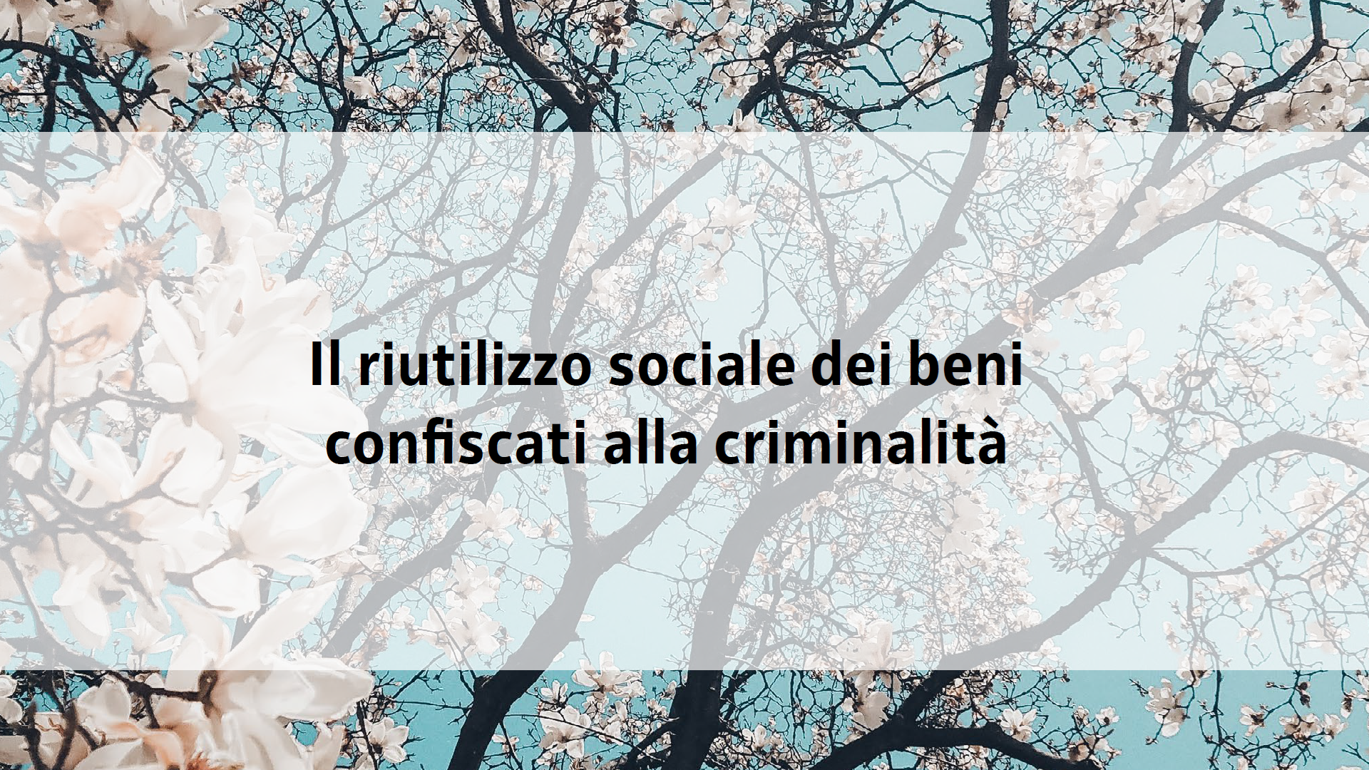 Il riutilizzo sociale dei beni confiscati alla criminalità